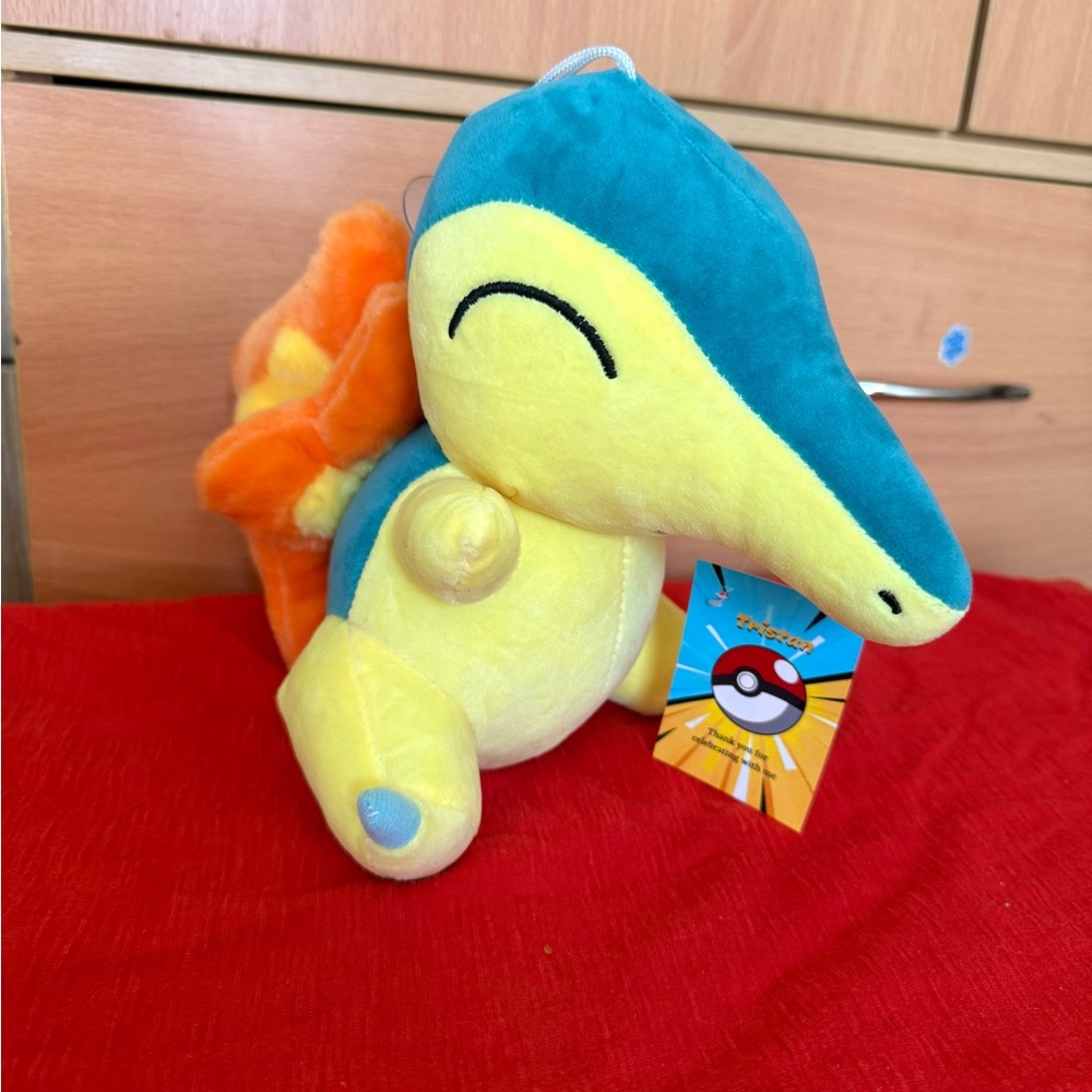 COPY - Very cute Cyndaquil Pokémon